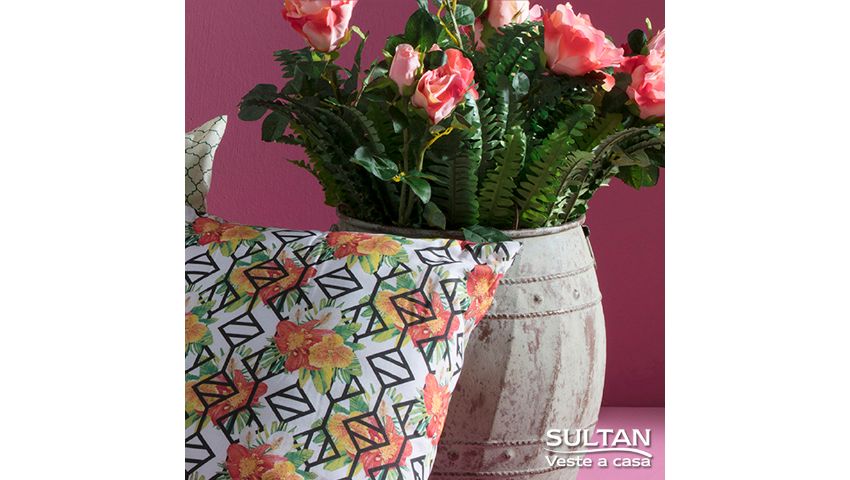 Sultan, Veste a Casa | 